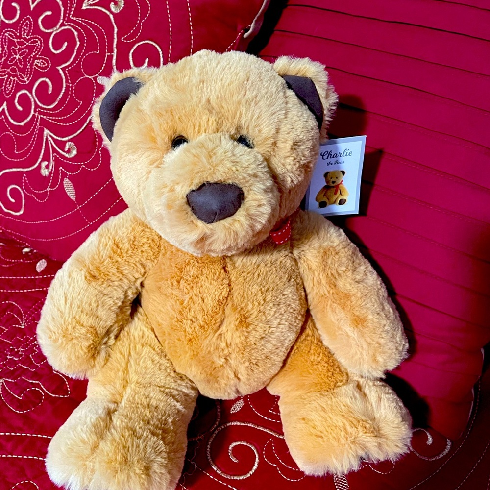Charlie the Bear Stuffed Animal. - Picture 1 of 4